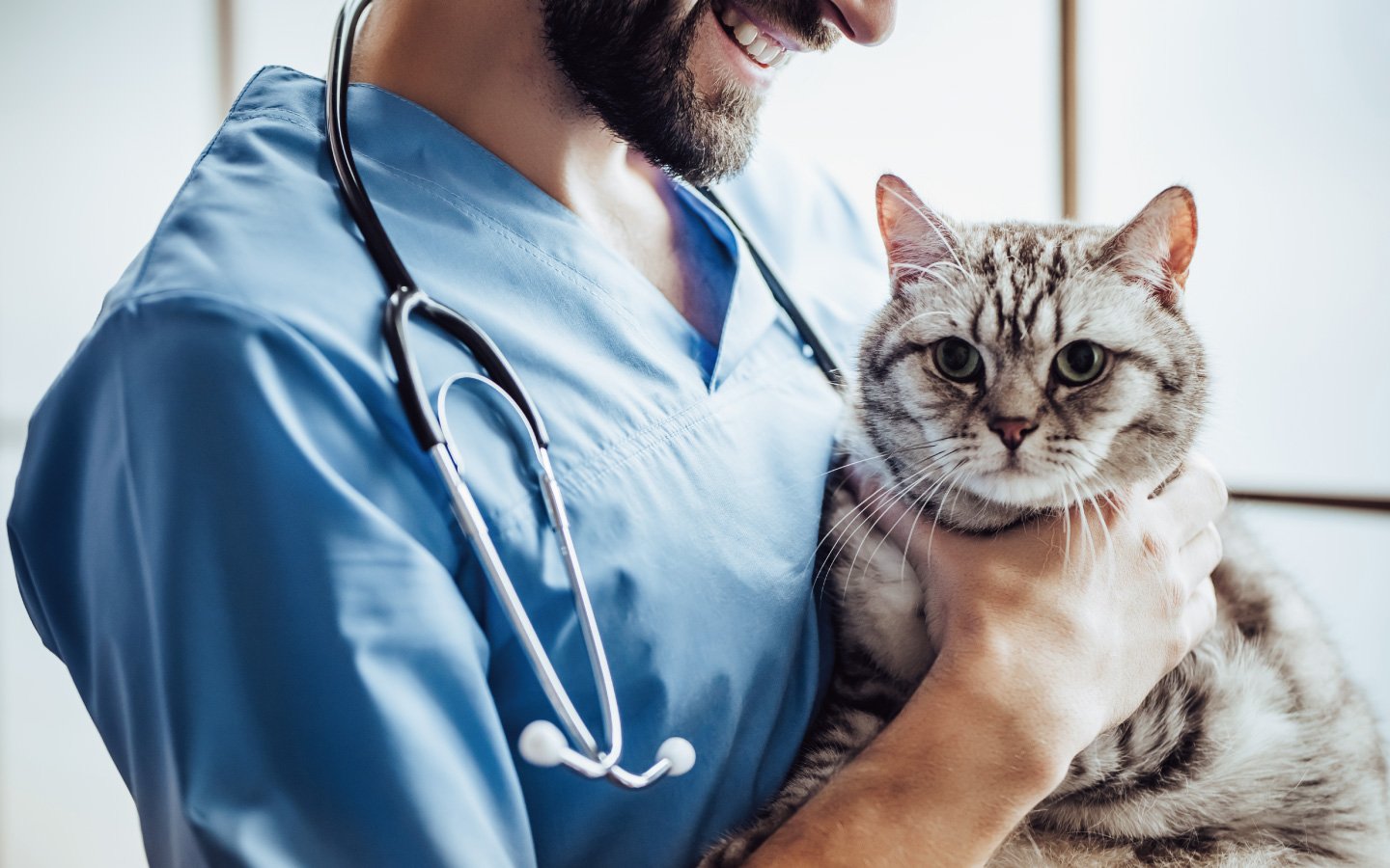 沒生病也需要去看獸醫嗎?有病痛飼主不一定能察覺 沒生病也需要去看獸醫嗎?有病痛飼主不一定能察覺